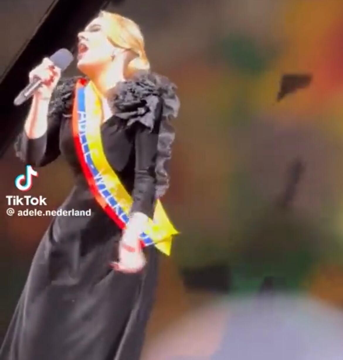 Adele. Foto: Captura de pantalla Tik Tok luchodariok.