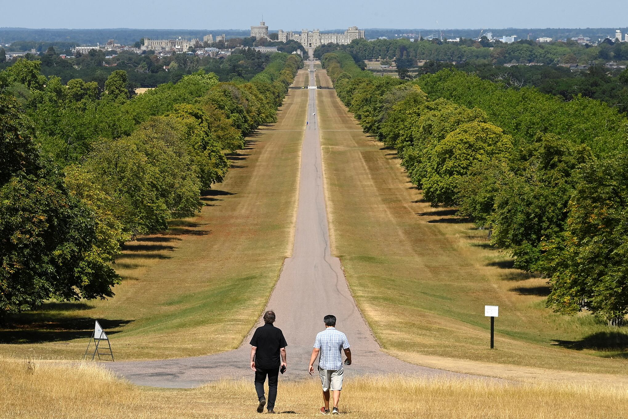 El imágenes : Pastizales secos luego de un largo período de poca lluvia y clima cálido, Gran Bretaña.