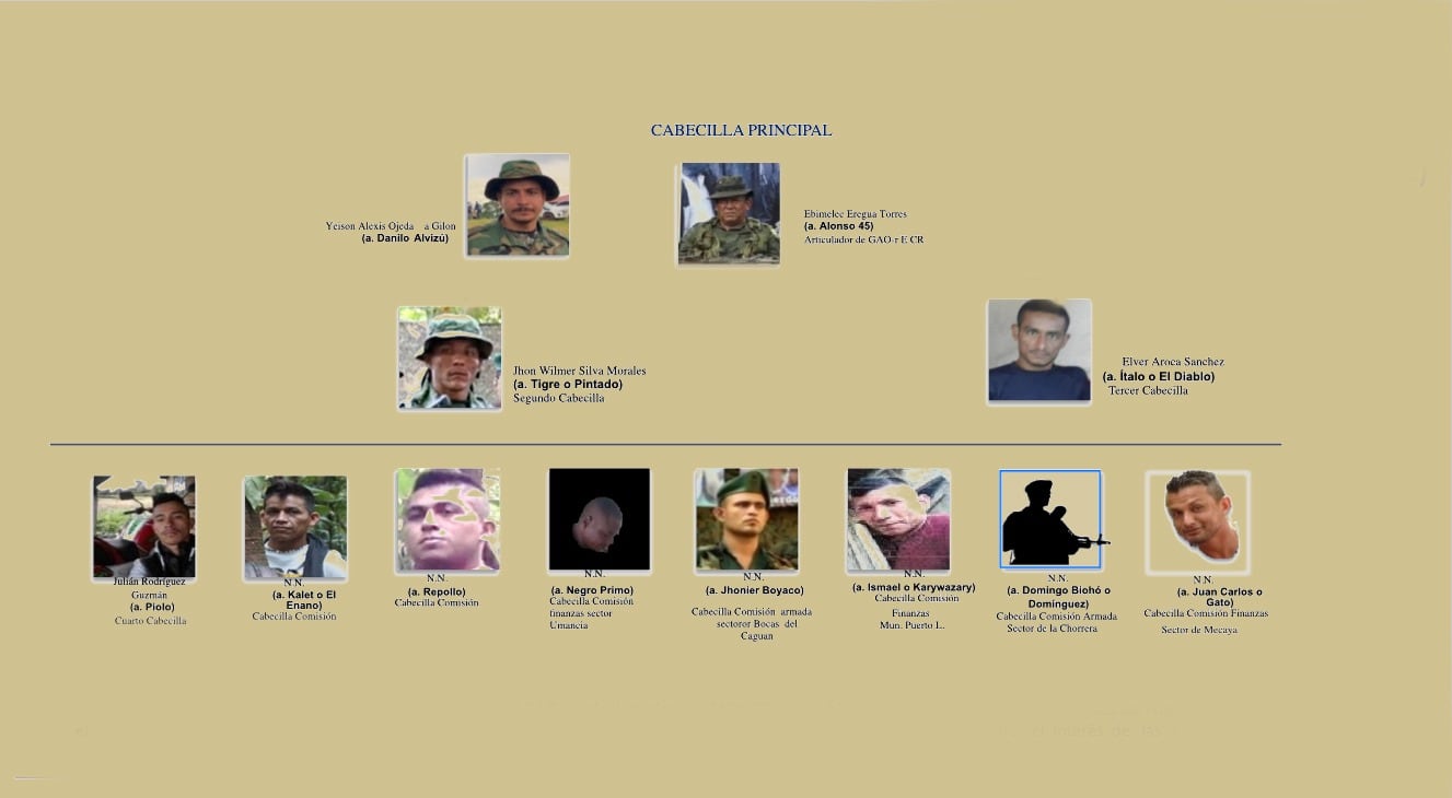 Estructura Carolina Ramírez, de las disidencias de las Farc de Mordisco.