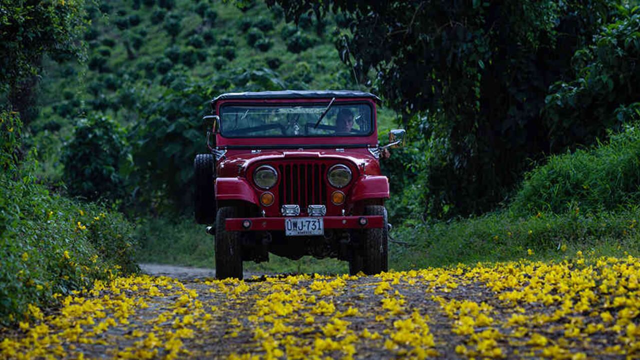 De los 142.000 kilómetros de vías terciarias que hay en Colombia, cerca del 65 por ciento se encuentra en regular o mal estado.