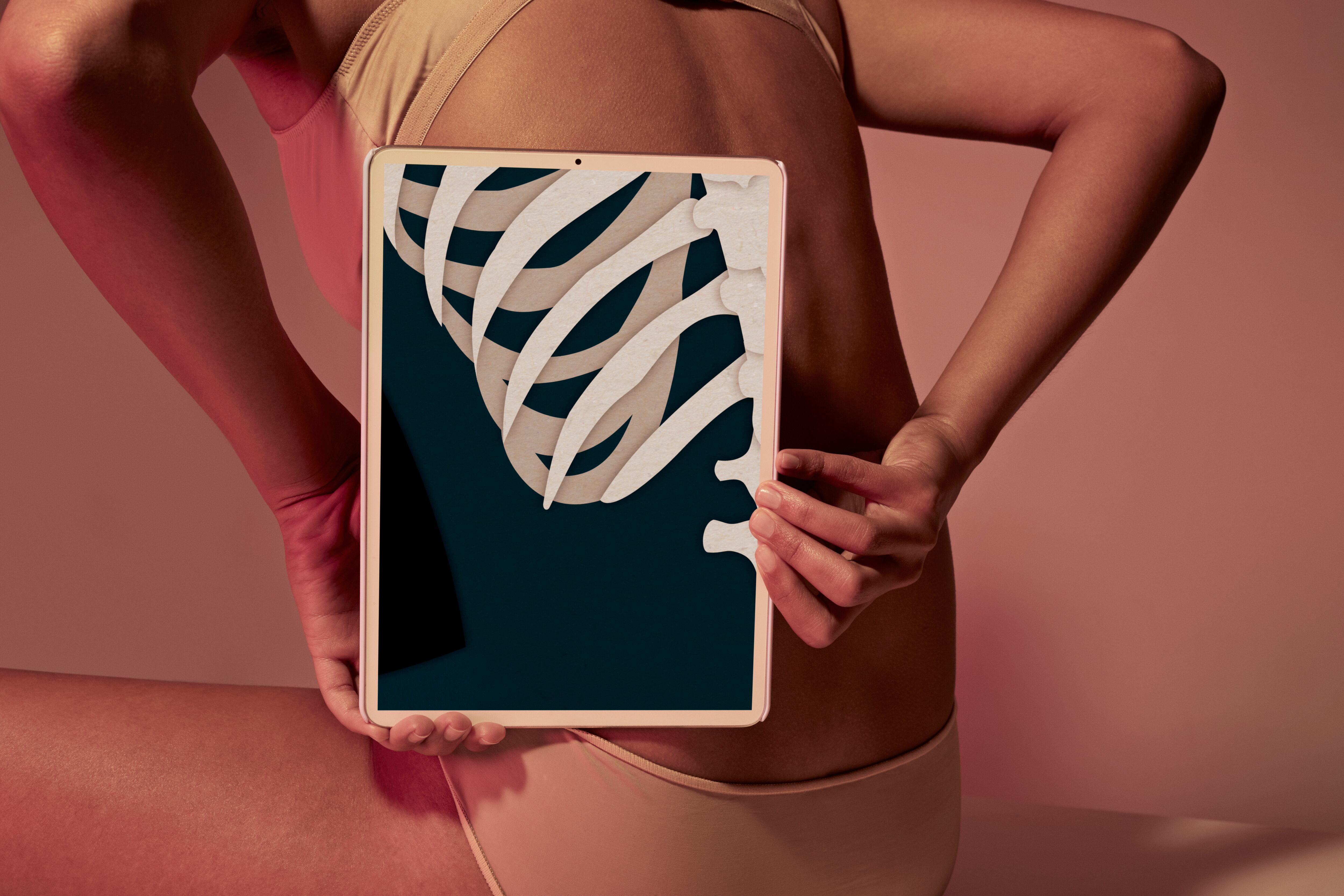 Huesos / Sistema óseo