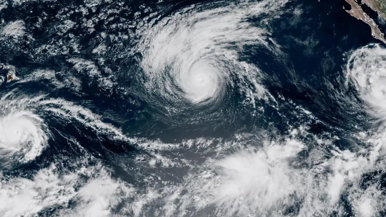 Las condiciones del océano favorecieron una inusual actividad de tormentas tropicales.