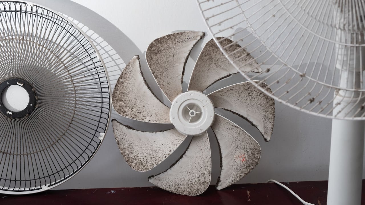 La higiene de este aparato, a menudo subestimada, es una inversión en bienestar y en eficiencia energética que merece atención constante.