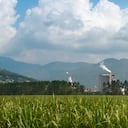 Especial Pacífico, Análisis