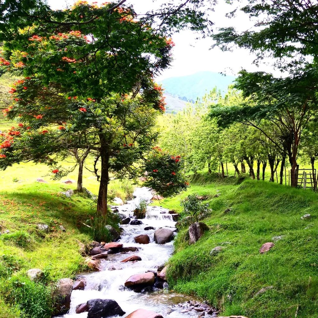 Cañasgordas - Antioquia