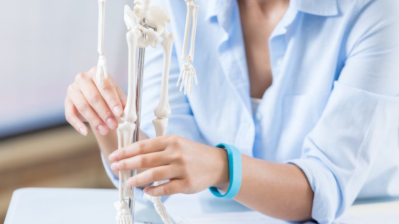 La salud ósea es fundamental para el bienestar del organismo.