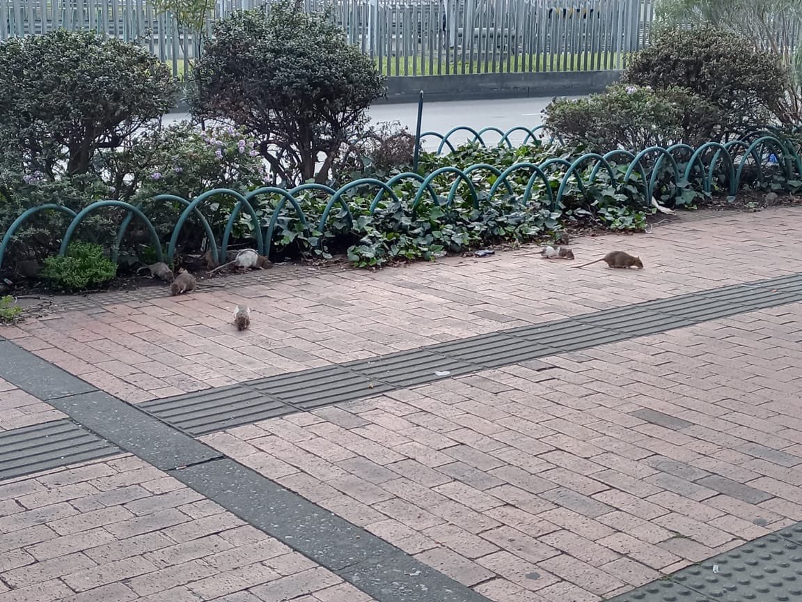 La Secretaría de Salud ya ha adelantado algunas acciones en esta zona.