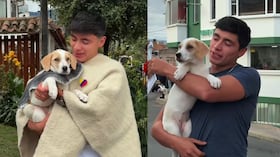 El gesto de Julián Pinilla al rescatar a un perro abandonado
