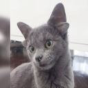 Midas nació con una deformidad , pero esto no impidió que fuera adoptada. Foto Instagram @midas_x24.