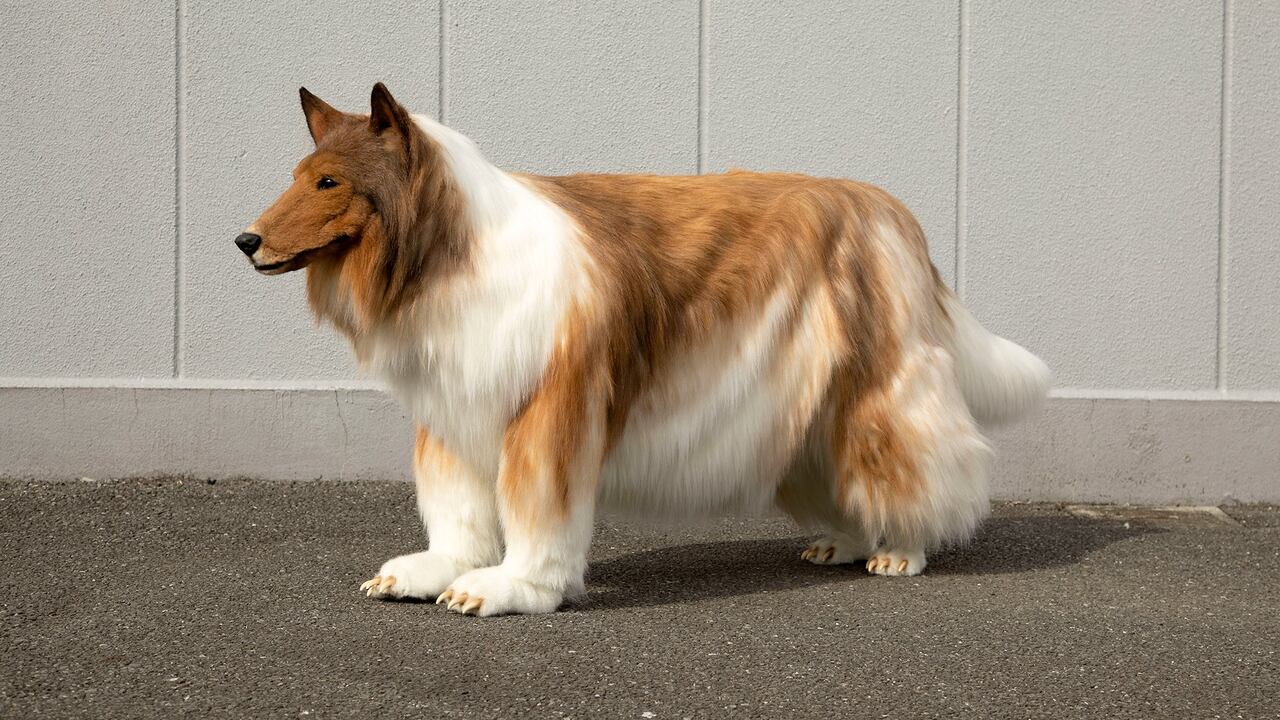 Disfraz de perro en Japón