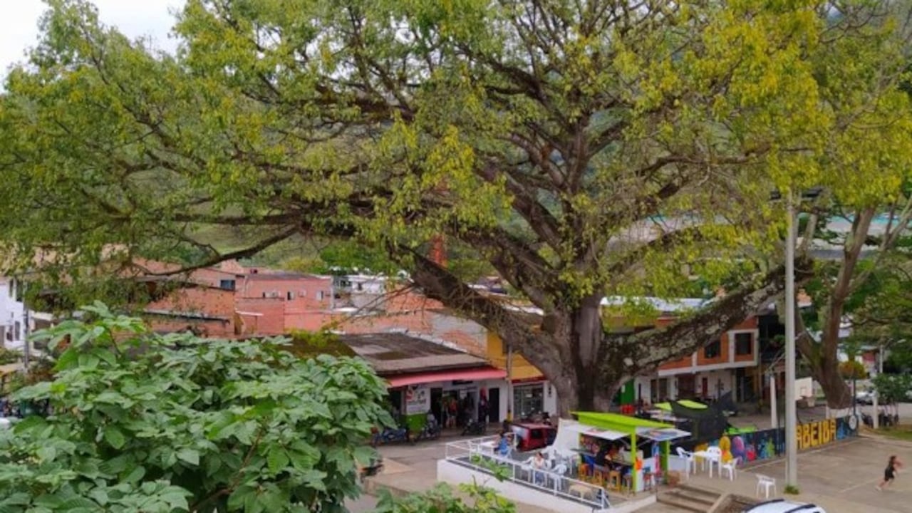 Dabeiba, Antioquia