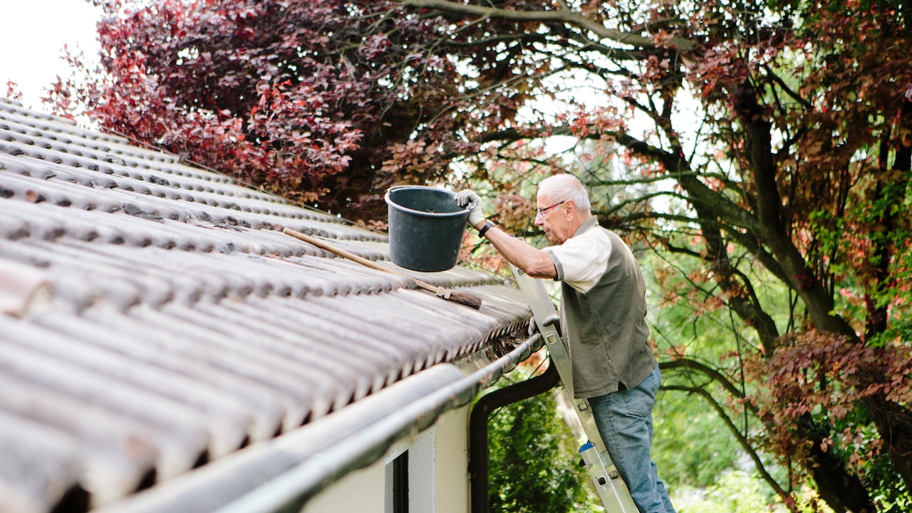El tejado se debe limpiar con frecuencia.