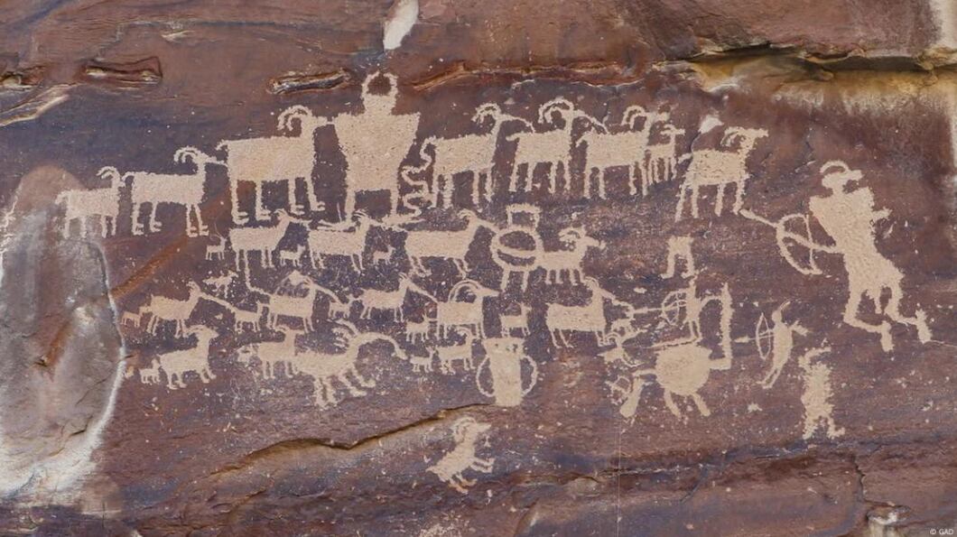 Un hallazgo genético abre nuevas posibilidades para el estudio de la evolución.