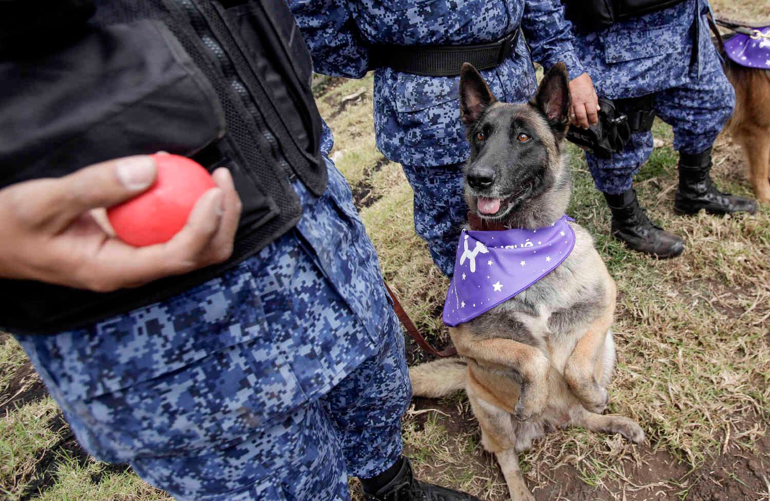 En principio se tendrán 6 perros los cuales fuerón adoptados por las internas y serán el epicentro de este programa. Foto: Diana Rey Melo
