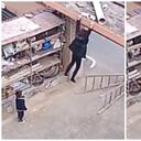 El video fue compartido en plataformas como Twitter donde acumula más de 145.000 reproducciones.