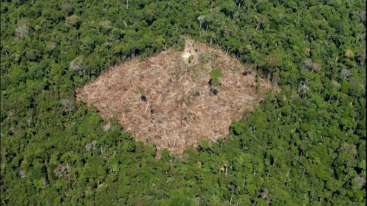 Foco de deforestación en la amazonía colombiana.
