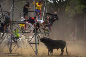 Hombres escapan de un toro durante el festival de toros 'Toro de la Vega' en Tordesillas, cerca de Valladolid, España, el martes 13 de septiembre de 2022. una vez más que el animal no debe ser dañado con lanzas o dardos.