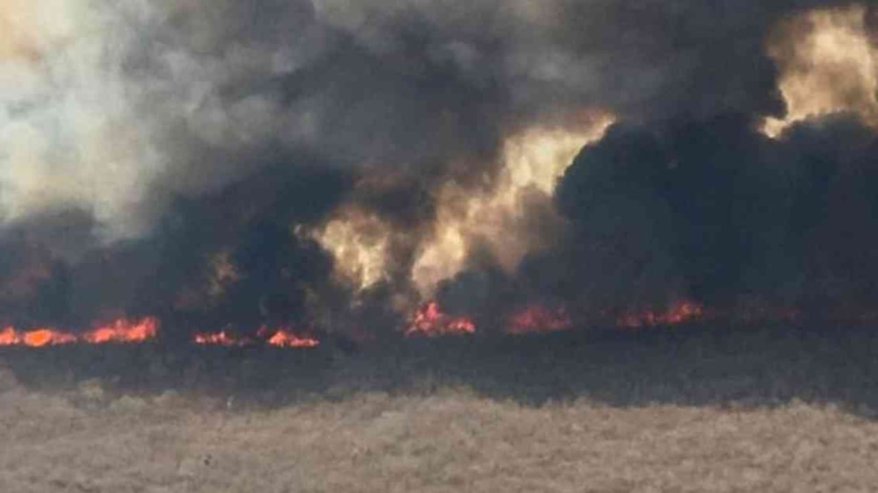 Las llamas en la selva no son muy altas, así que hay que combatirlas desde el suelo. Foto: GETTY IMAGES vía BBC.