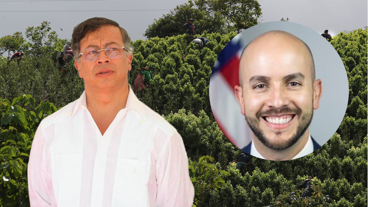 Juan González, Gustavo Petro cultivo Coca