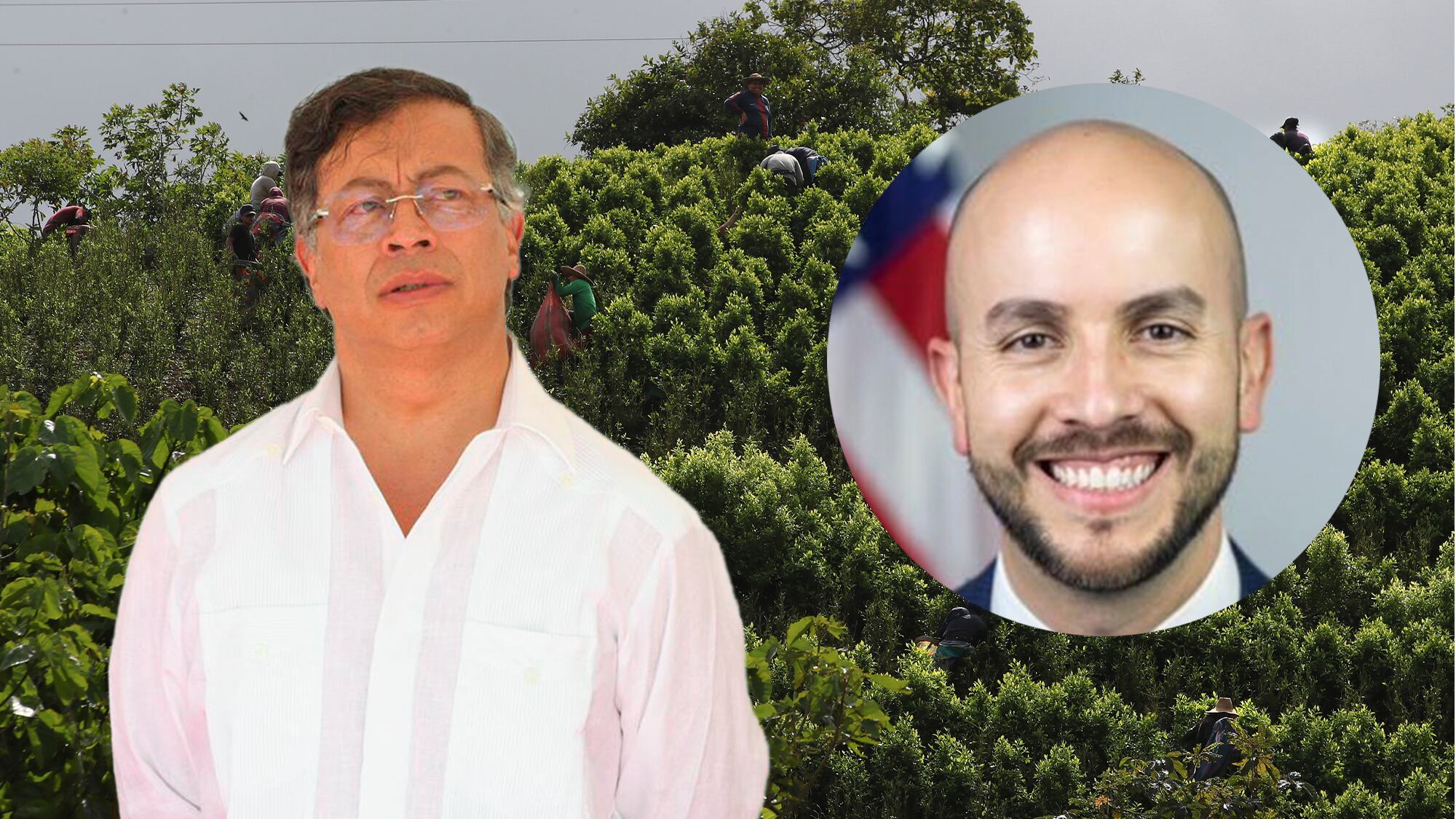 Juan González, Gustavo Petro cultivo Coca