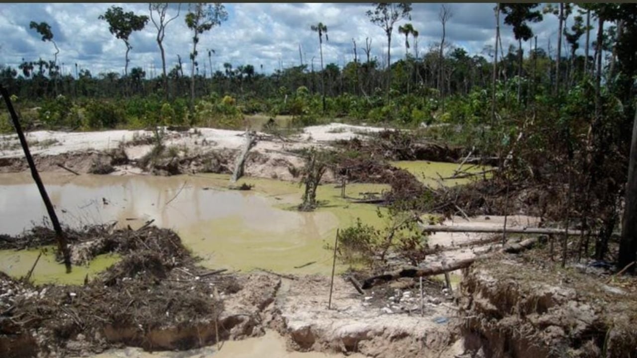 Las guerrillas colombianas están participando en un ecocidio en Venezuela