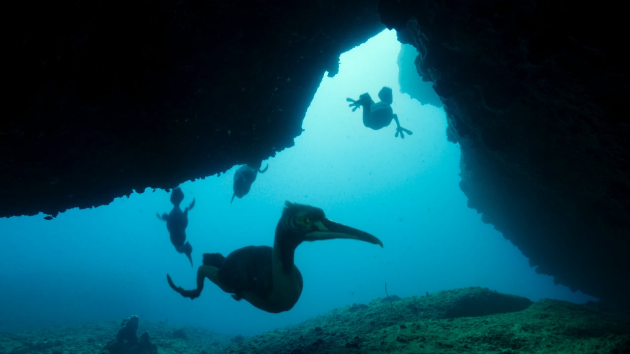 'Los dinosaurios' llegó a Netflix el pasado 6 de marzo de 2026 como una miniserie documental de cuatro episodios, cada uno de unos 45 minutos.