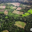 El llamado de Greenpeace en el Día del Ambiente.