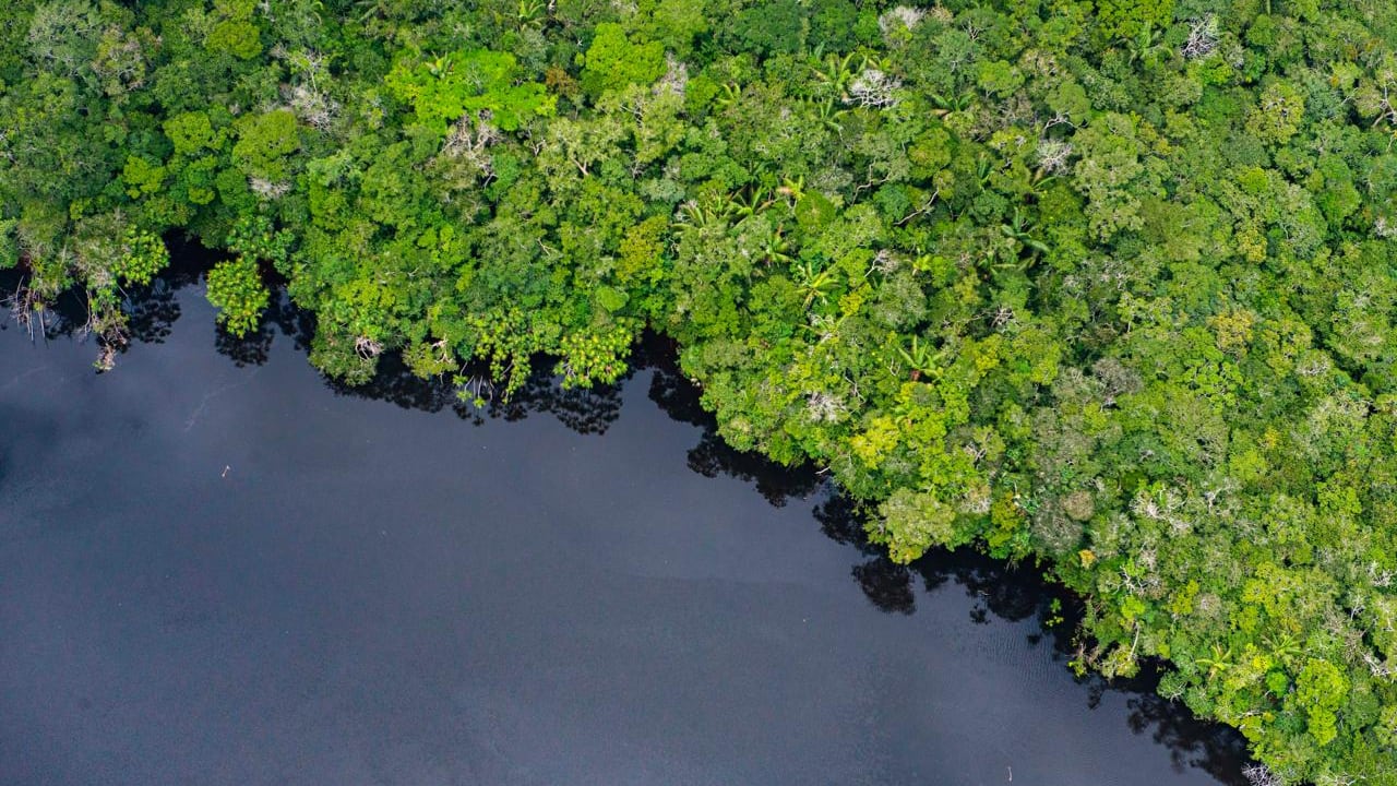 Greenpeace alerta por impacto de la deforestación en los ríos amazónicos.