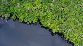 Greenpeace alerta por impacto de la deforestación en los ríos amazónicos.