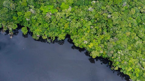 Greenpeace alerta por impacto de la deforestación en los ríos amazónicos.