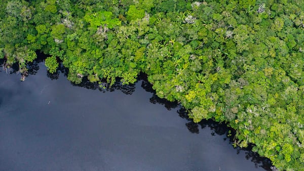 Greenpeace alerta por impacto de la deforestación en los ríos amazónicos.