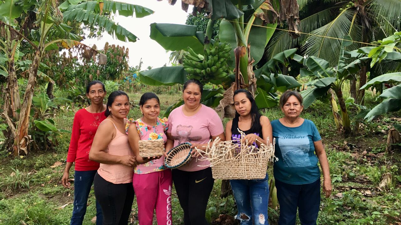 columna Begoña Aristy