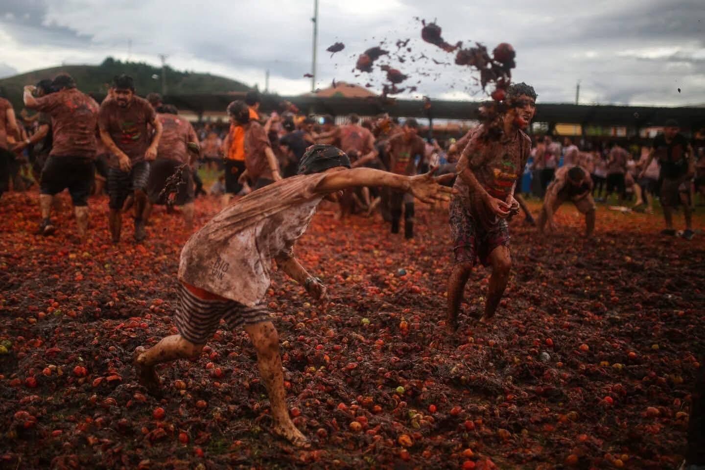 ¿Qué actividades habrá en la Gran Tomatina 2026 en Sutamarchán?