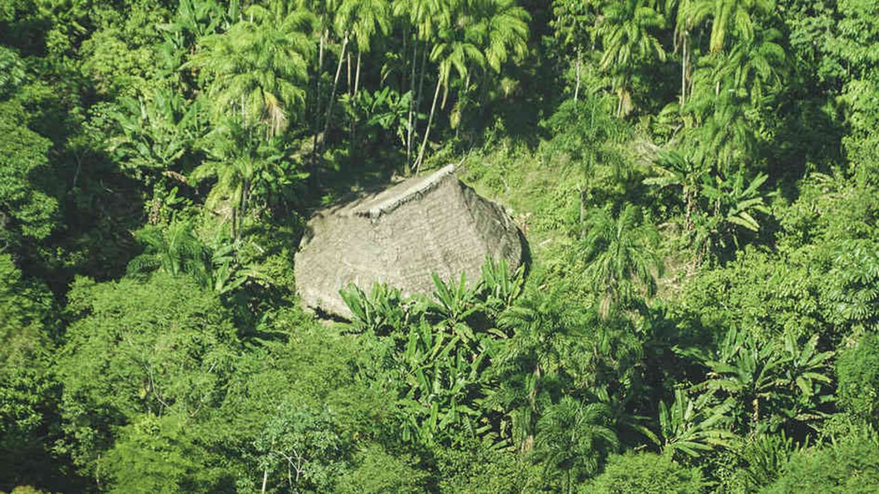 Los aislados de la Amazonia colombiana viven en malocas rodeadas de verde, semirrectangulares y redondeadas en las puntas.