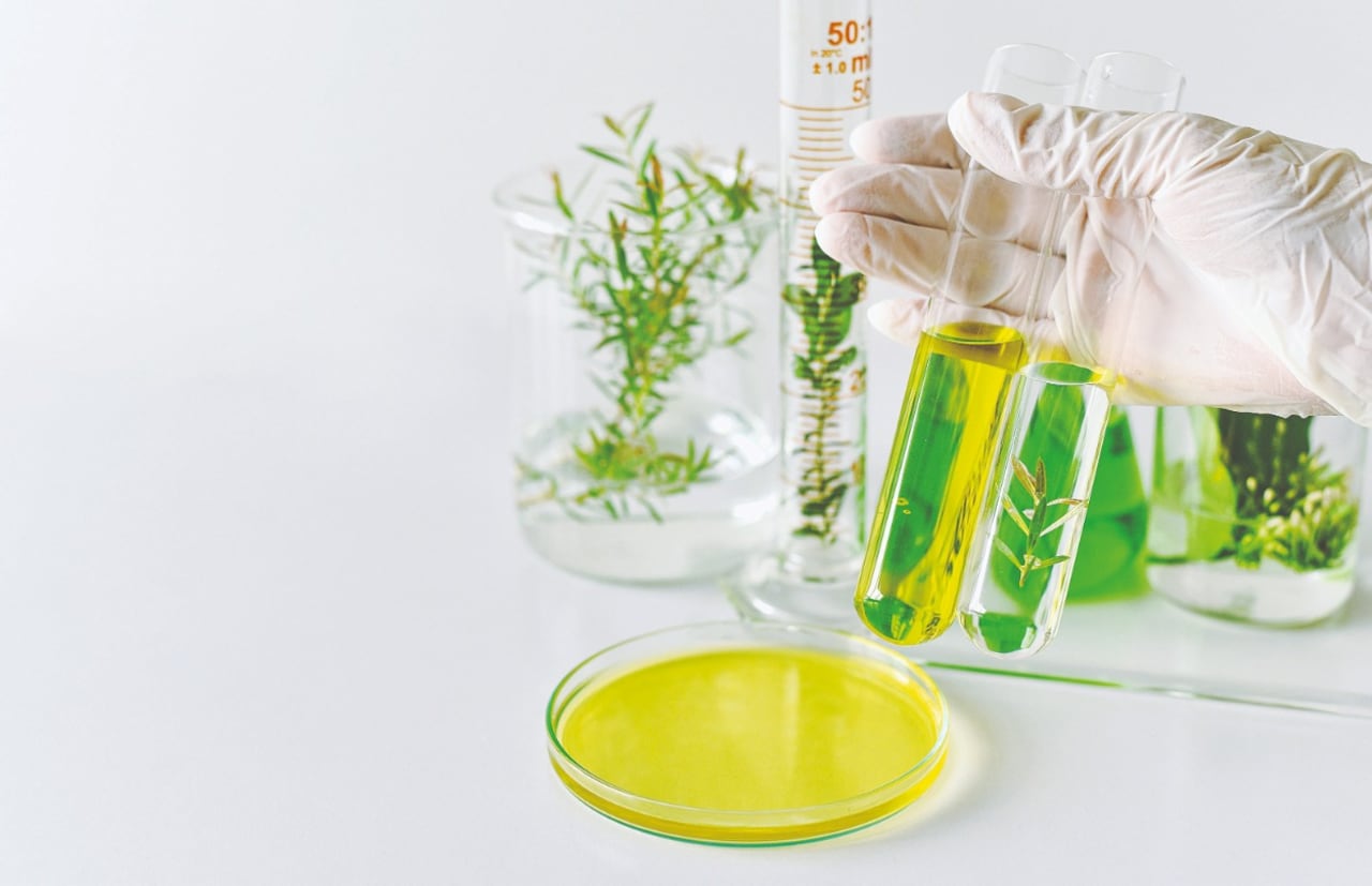 Pharvet trabaja con componentes más naturales extraídos de las plantas y aceites esenciales que mejoran las propiedades nutricionales y curativas de los productos farmacéuticos.