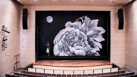 Telón Delia Zapata. cortesía CNA / A.P.I.