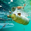 Los plásticos son uno de los principales productos que contaminan los océanos.