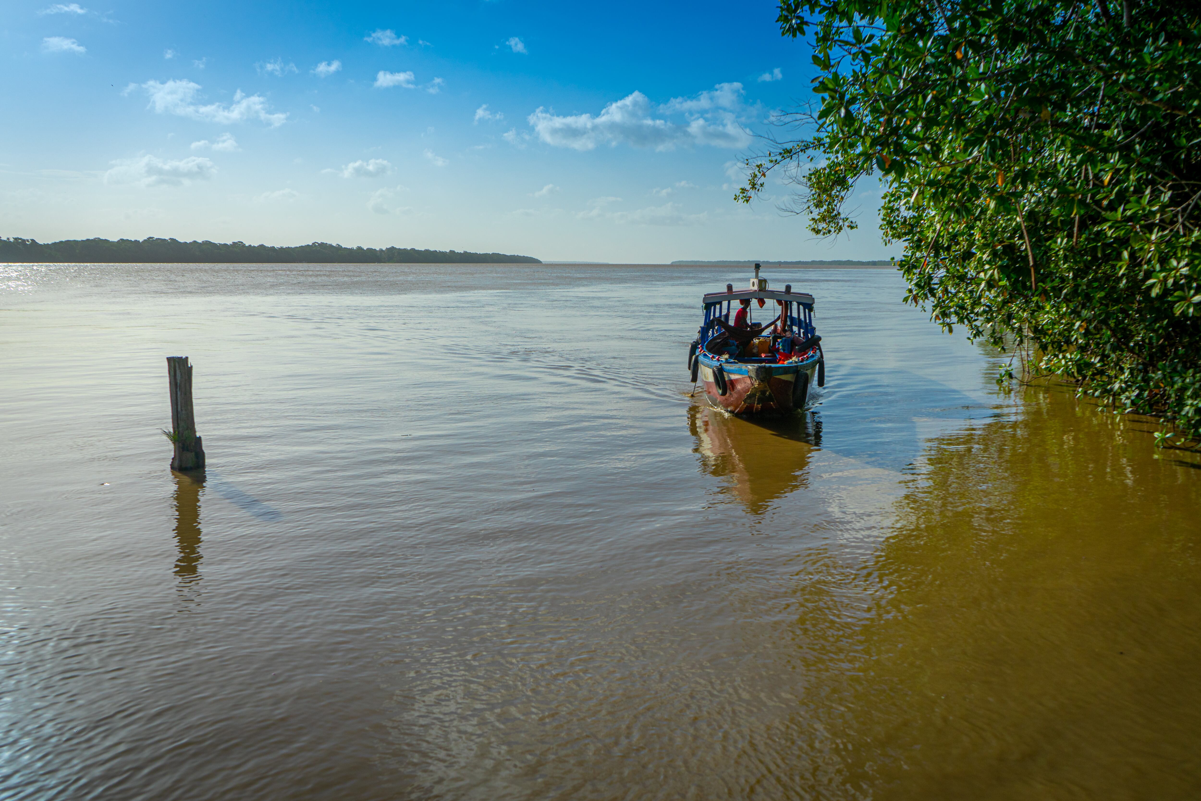 Descubra el único país de Sudamérica que tiene como idioma oficial el neerlandés; es el más pequeño del continente