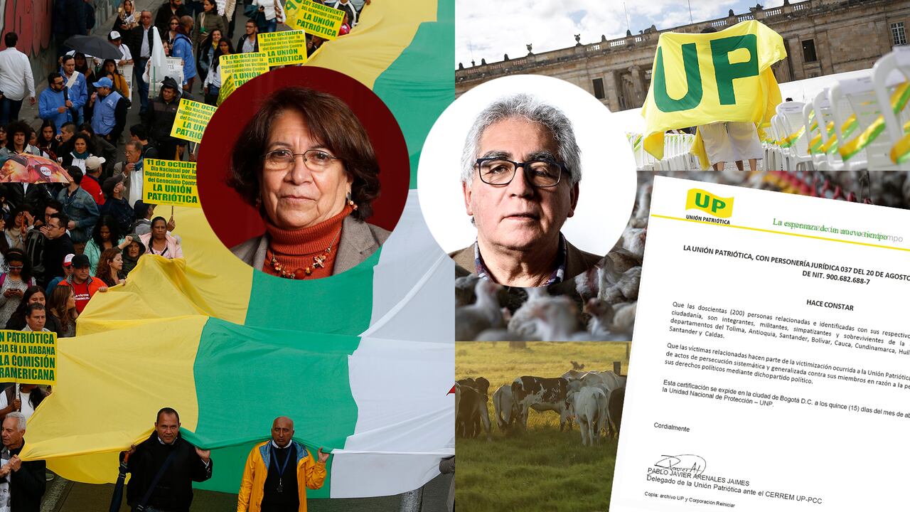 Varios miembros de la Unión Patriótica y funcionarios de la UNP estarían involucrados.
Bogotá, julio 26 2019
Foto Guillermo Torres Reina / Semana