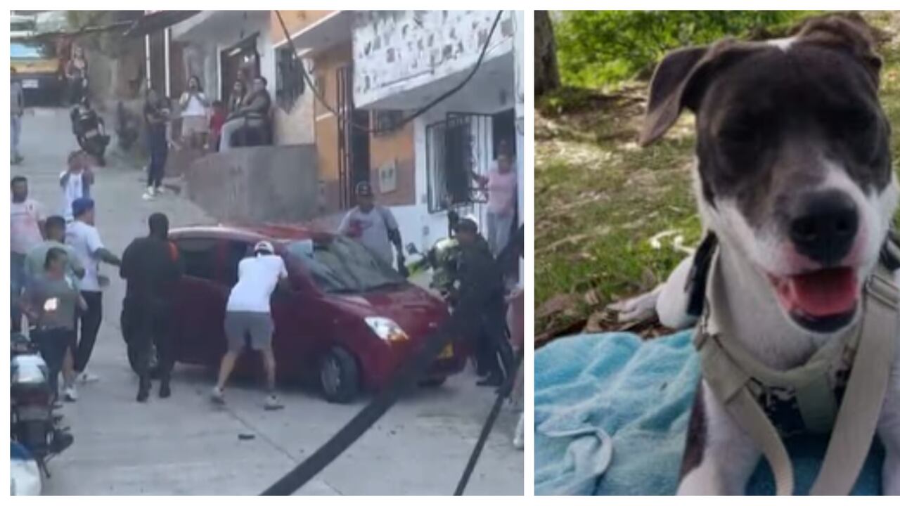 La Policía tuvo que proteger a una mujer que iba a ser linchada tras ser acusada de envenenar a a Estrella, una mascota.