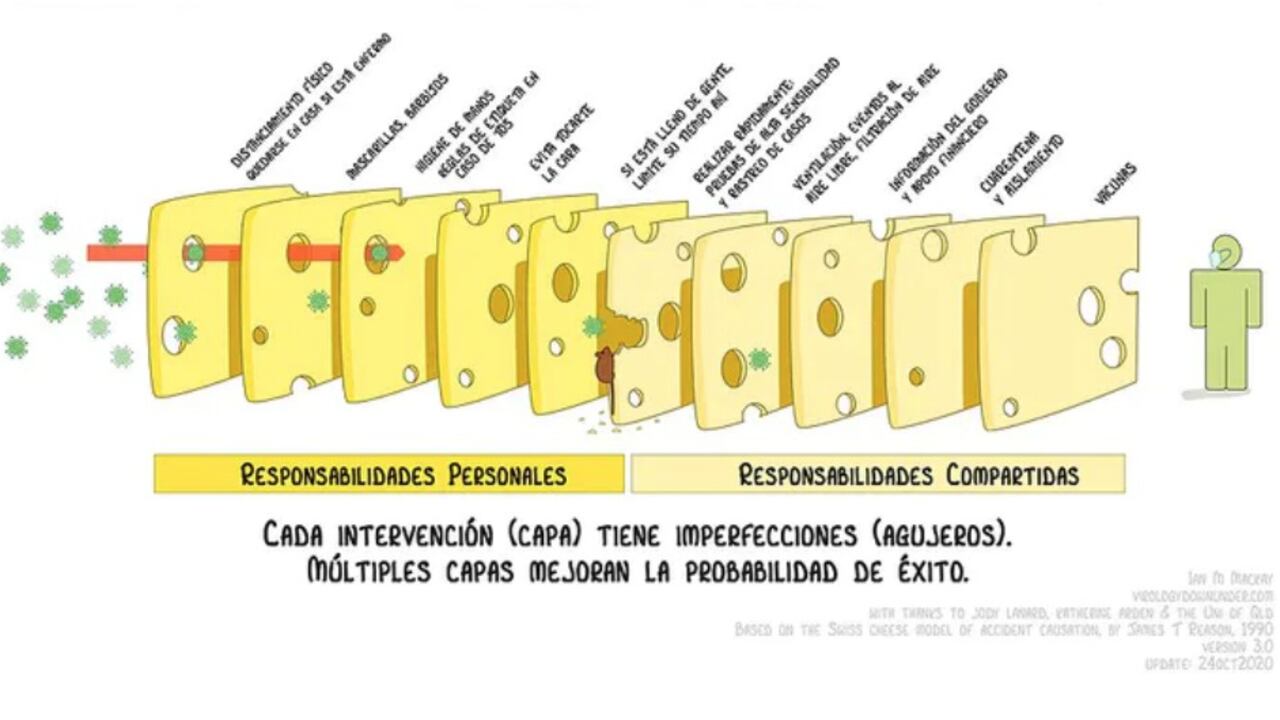 Adaptación del modelo de ‘Queso Suizo’ de Virology Down Ander. Wikimedia Commons / Ian M MacKay, CC BY