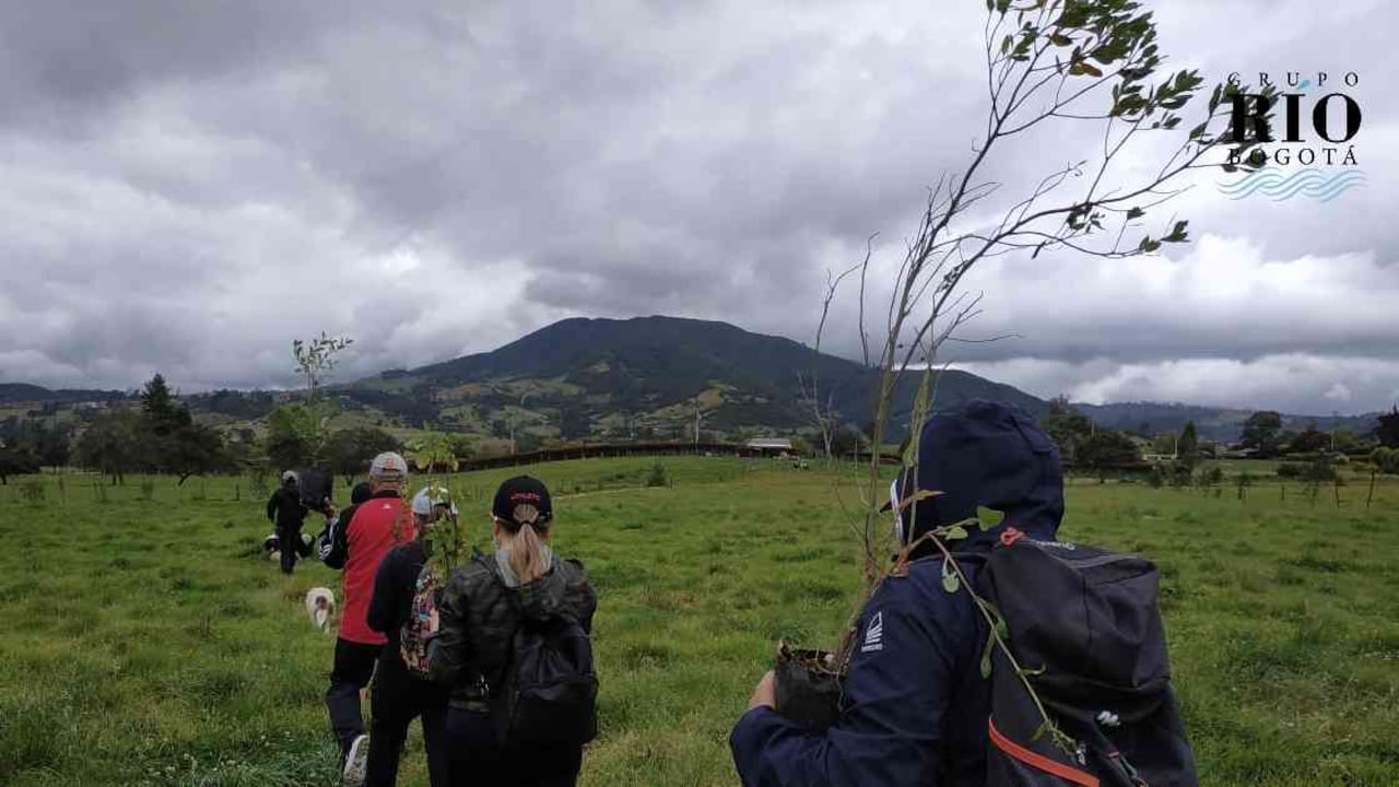Luego de más de seis meses en confinamiento, 40 bogotanos se reencontraron con la naturaleza. Foto: Jhon Barros.