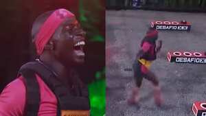 Campanita en el Desafío XX