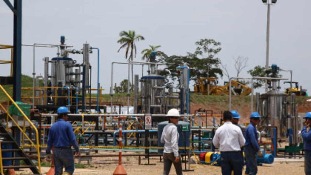 Emerald Energy había llegado al campo Capella, cerca de San Vicente del Caguán, hace tres años. Invirtieron en la población 5.800 millones de pesos. Pero después del secuestro de los cuatro chinos, han contemplado, incluso, abandonar esta zona.