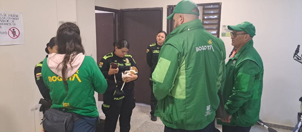 El Instituto Distrital de Protección y Bienestar Animal (IDPYBA) acudió al rescate de la perrita abandonada en el aeropuerto El Dorado, tras el reporte de la Policía Aeroportuaria