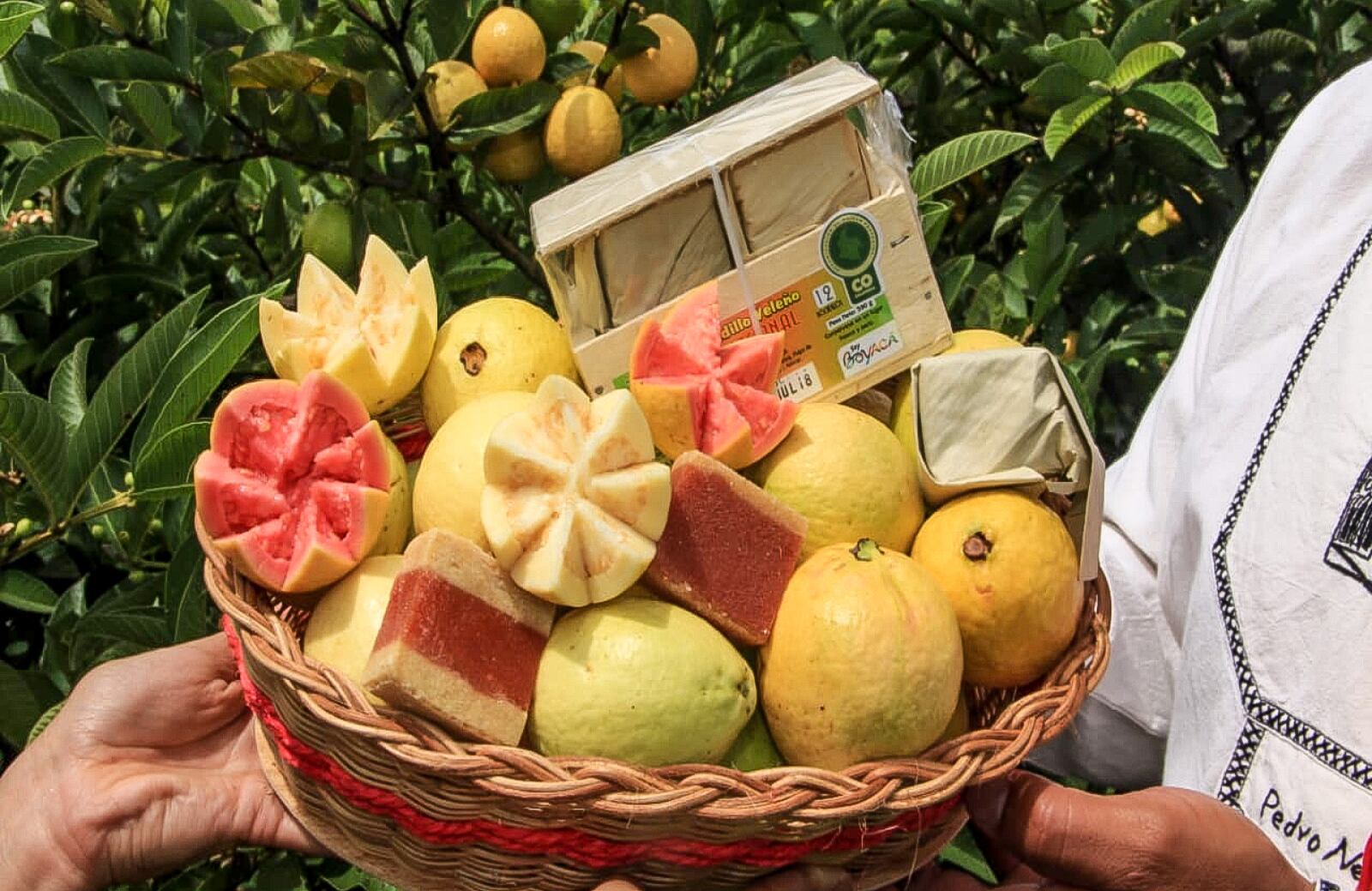 En medio del coronavirus, nace el primer Festival del Bocadillo