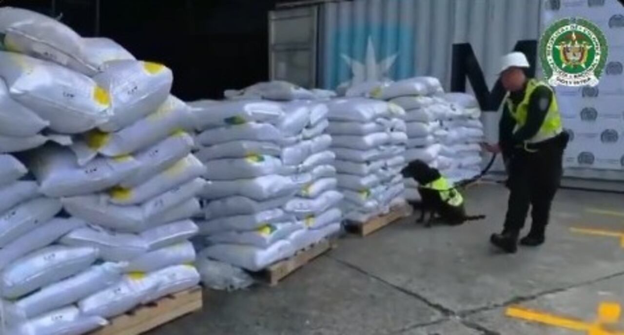 La policía nacional incauta 8,2 toneladas de cocaína en el puerto de Buenaventura.