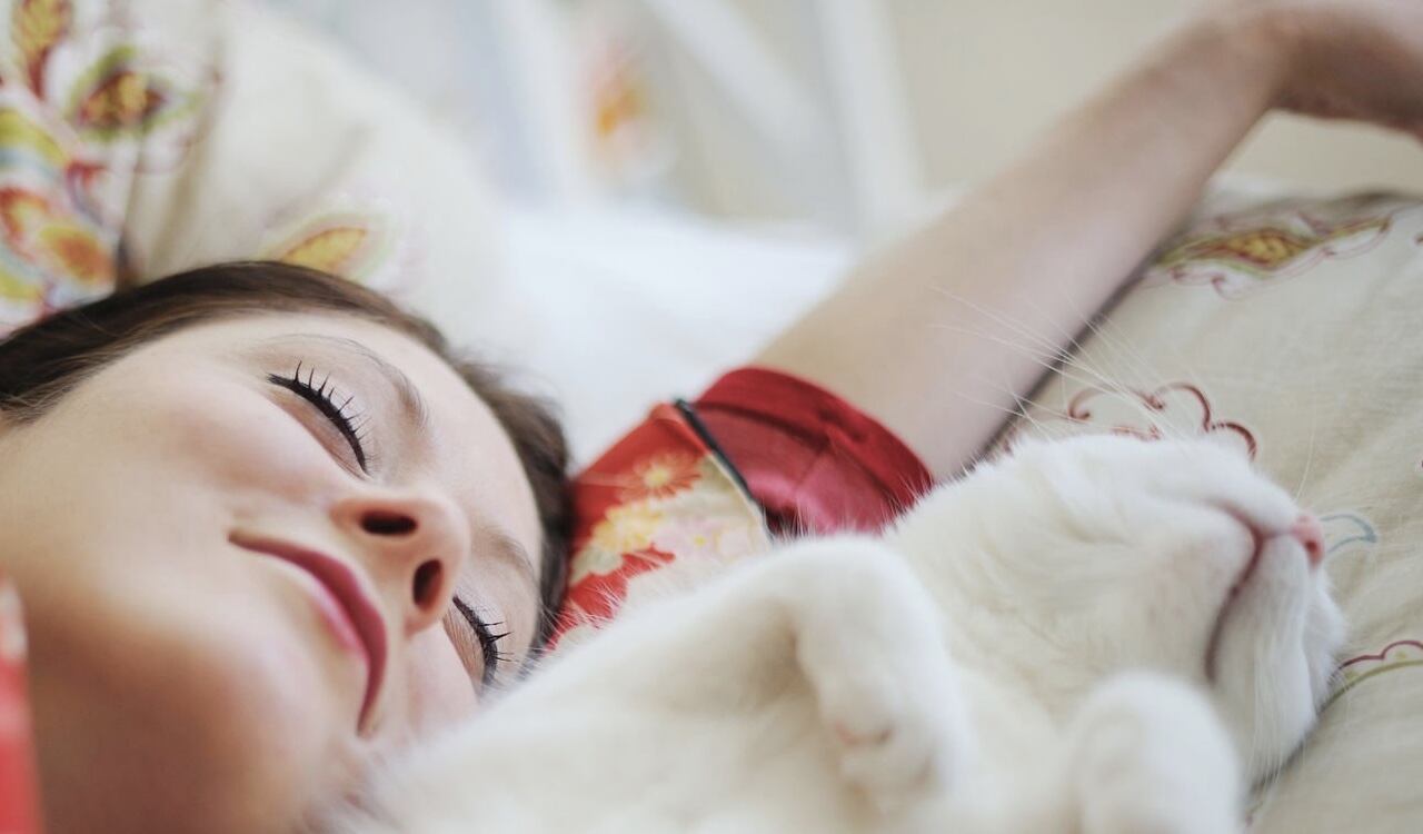 El pelaje de los gatos produce alérgenos que a largo plazo podrían desarrollar una alergía en su dueño