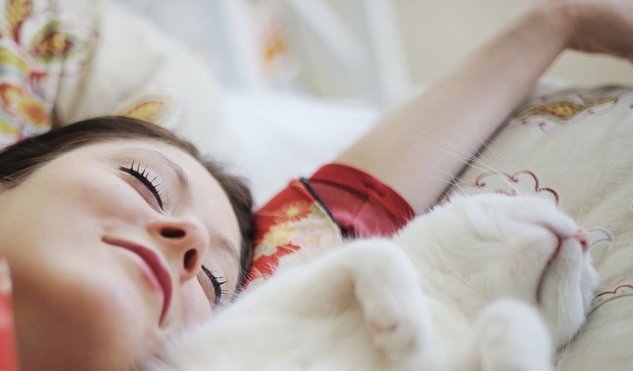 El pelaje de los gatos produce alérgenos que a largo plazo podrían desarrollar una alergía en su dueño