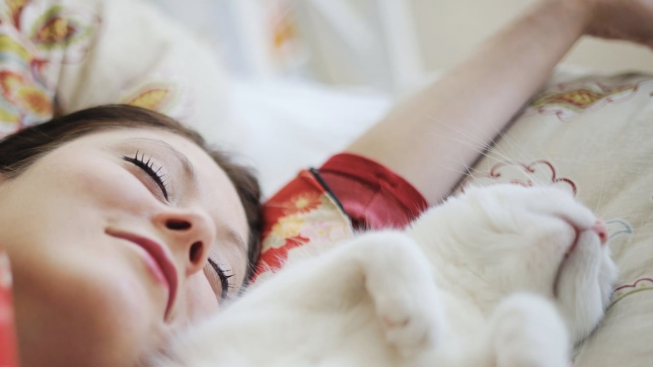 El pelaje de los gatos produce alérgenos que a largo plazo podrían desarrollar una alergía en su dueño